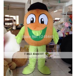 Adult Kiwi Fruit Mascot Costume Adult Kiwi Fruit Costume