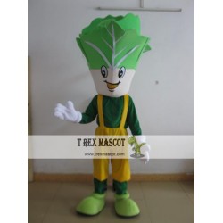 Funny Cabbage Mascot Costume Adult Cabbage Costume