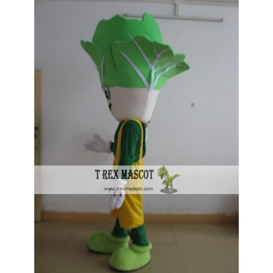 Funny Cabbage Mascot Costume Adult Cabbage Costume