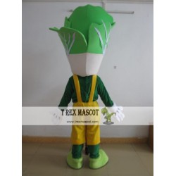 Funny Cabbage Mascot Costume Adult Cabbage Costume