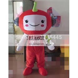 Big Head Adult Doll Mascot Costume