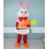 White Bunny Rabbit Easter Mascot Costume with Carrot