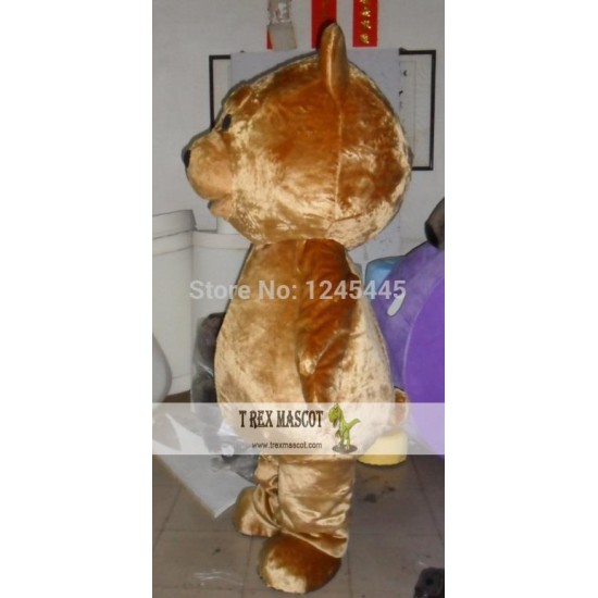 Big Head Fat Teddy Bear Mascot Costume For Adult