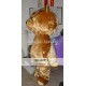 Big Head Fat Teddy Bear Mascot Costume For Adult