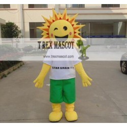 Adult Sun Mascot Costume