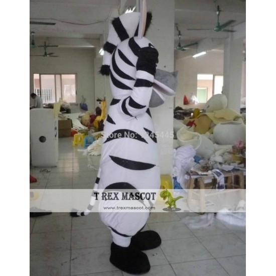 Good Zebra Mascot Costume