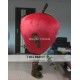 Fruit Mascot Adult Apple Costume