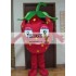 Adult Strawberry Mascot Costume Fruit Mascot Costume
