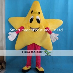 Bling Star Mascot Costume For Adults Smiling Star Costume Adults
