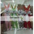 Easter Bunny Mascot Adult Rabbit Costume