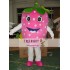 Strawberry Mascot Costumes Halloween Easter