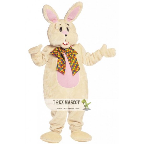 Custom-Actual Easter Burry Rabbit Mascot Costume Cartoon