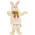 Custom-Actual Easter Burry Rabbit Mascot Costume Cartoon