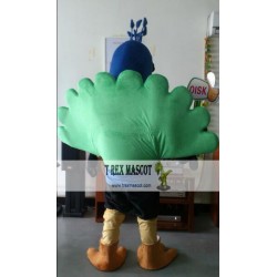 Peacock Mascot Costume for Halloween Chirstmas