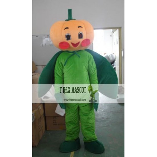 Vegetables Pumpkin Mascot Costumes Halloween Eastertfit