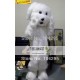 Shaggy Dog Mascot Costume