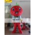 Red Tomato Cartton Mascot Costume Prop