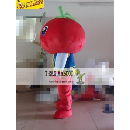 Red Tomato Cartton Mascot Costume Prop