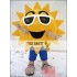 Sun Flower Mascot Costume