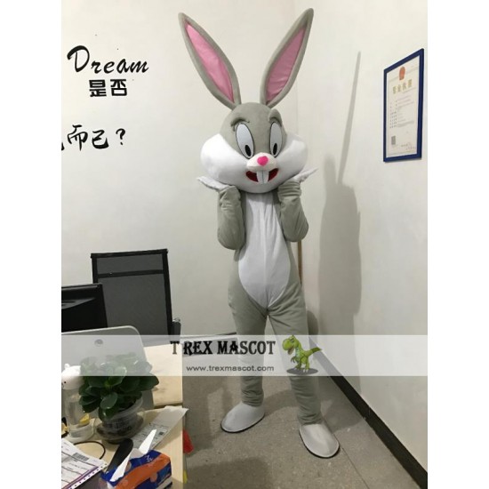 Easter Bunny Mascot Costumes