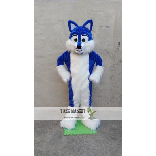 Husky Mascot Costume Deluxe Long Fur Blue