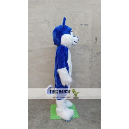 Husky Mascot Costume Deluxe Long Fur Blue