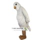 White Pigeon Bird Mascot Costume