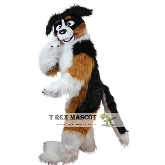 Fox Dog Husky Long Hairy Cartoon Mascot Costume