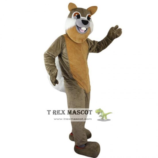 Gray Squirrel Mascot Costume Adult