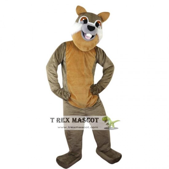 Gray Squirrel Mascot Costume Adult