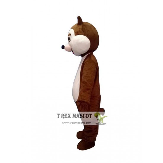 Chip And Dale Chipmunk Squirrel Mascot Costume