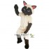 Siamese Cat Mascot Costume Adult