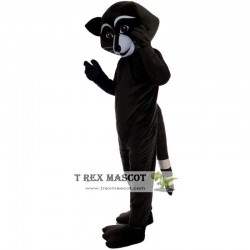 Raccoon Mascot Costume