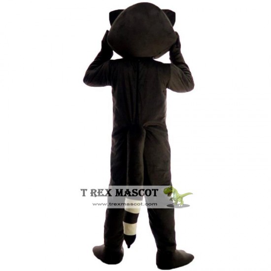 Raccoon Mascot Costume