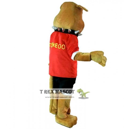 Bulldog Mascot Costume Adult