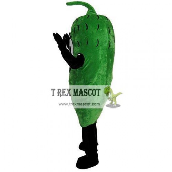 Pickled Vegetable Beans Eggplant Mascot Costume