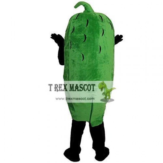 Pickled Vegetable Beans Eggplant Mascot Costume