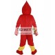 Red Bird Eagle Animal Mascot Costume