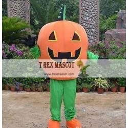 Fruits Vegetables Mascot Costumes