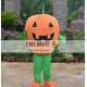 Fruits Vegetables Mascot Costumes