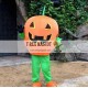 Fruits Vegetables Mascot Costumes