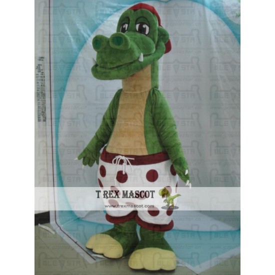 Crocodile Mascot Costumes