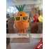 Wear Glasses Of Carrots Mascot Costume