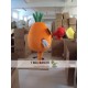 Wear Glasses Of Carrots Mascot Costume