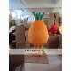 Wear Glasses Of Carrots Mascot Costume