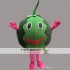 Watermelone Cartoon Mascot Costume