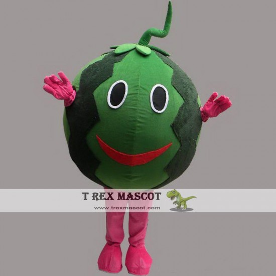 Watermelone Cartoon Mascot Costume