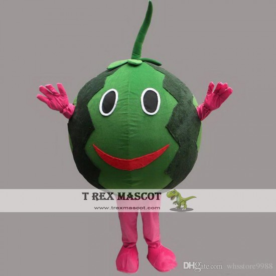 Watermelone Cartoon Mascot Costume