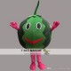 Watermelone Cartoon Mascot Costume