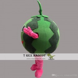 Watermelone Cartoon Mascot Costume